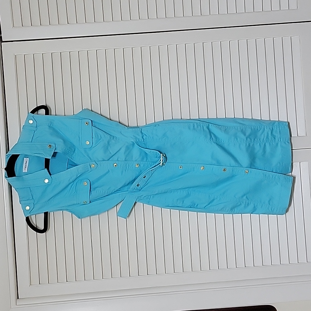 Calvin Klein Size 6 Blue Button Front Belted Dress